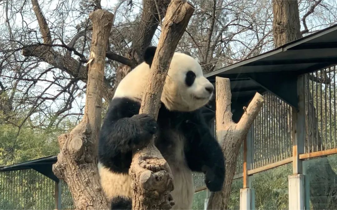 1684666796745426.jpg 微信图片_20230521185920.jpg