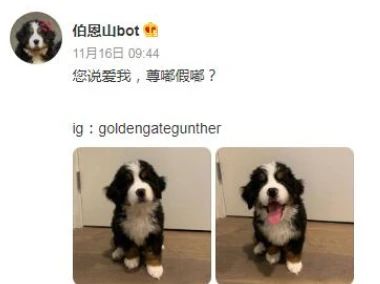 1692957002550238.jpg 微信图片_20230825174729_1.jpg